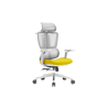OFFICE CHAIR NOEL APEX-HG