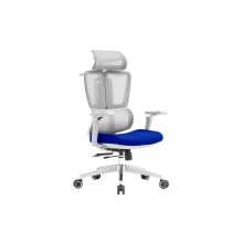OFFICE CHAIR NOEL APEX-HG