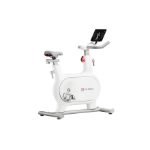 SPINNING BIKE XIAOMI YESOUL M2