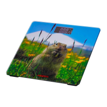 FLOOR SCALE ARDESTO SCB-965 MARMOT