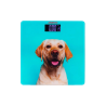 FLOOR SCALE ARDESTO SCB-965 DOG