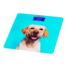 FLOOR SCALE ARDESTO SCB-965 DOG