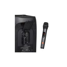 JBL PBM100 МИКРОФОННЫЙ КОМПЛЕКТ ДЛЯ КАРАОКЕ