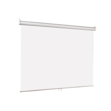 SCREEN FOR PROJECTOR 240 х 240 SM