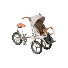 BICYCLE WITH A SIDECAR AMHAPI PANNI-OMOCAR
