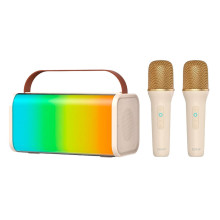 Колонка SOAIY SK20