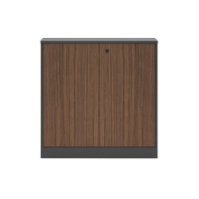 Картотечный шкаф T-CG0804 Темный