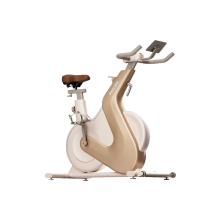 SPINNING BIKE PHILIPS INTELLIGENT SPINNING BIKE LITTLE GOLDEN DEER