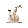 SPINNING BIKE PHILIPS INTELLIGENT SPINNING BIKE LITTLE GOLDEN DEER