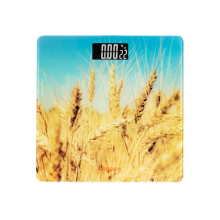 FLOOR SCALE ARDESTO SCB-965 WHEAT