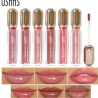 USHAS LONG-LASTING LIP GLOSS 3.9G