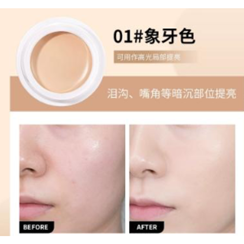 GECOMO CONCEALER 01 IVORY 8 G