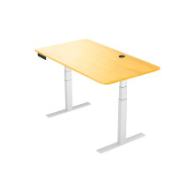 GAMING DESK FOR PC WITH HEIGHT ADJUSTER 160x80x2.5 SM