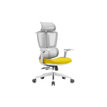 OFFICE CHAIR NOEL APEX-HG